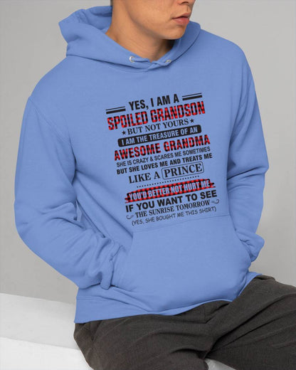 YES, I AM A SPOILED GRANDSON BUT NOT YOURS I AM THE TREASURE OF AN AWESOME GRANDMA - FROM GRANDMA - TLEE00 (SKU2602-108-00)