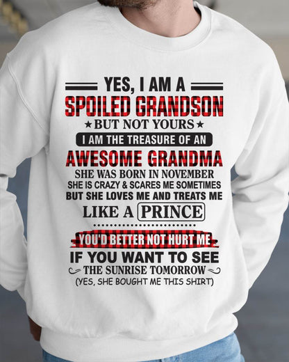 NOVEMBER - YES, I AM A SPOILED GRANDSON BUT NOT YOURS I AM THE TREASURE OF AN AWESOME GRANDMA - FROM GRANDMA - TLEE11 (SKU2602-108-11)